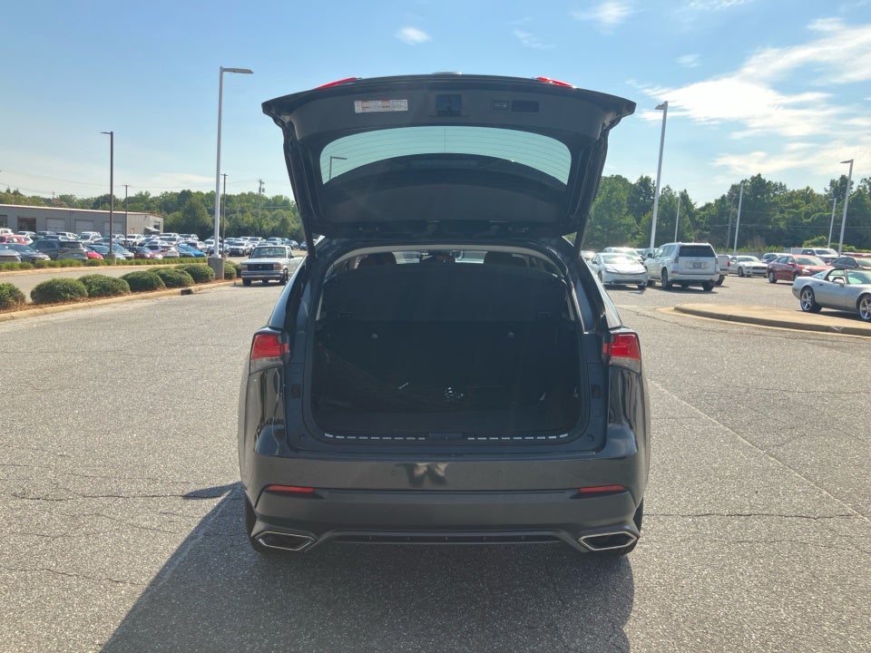 2020 Lexus NX 300 NX 300