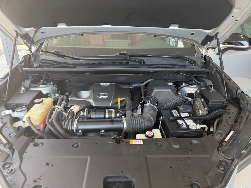 2019 Lexus NX 300 F SPORT