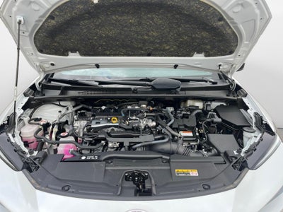 2025 Toyota Prius LE